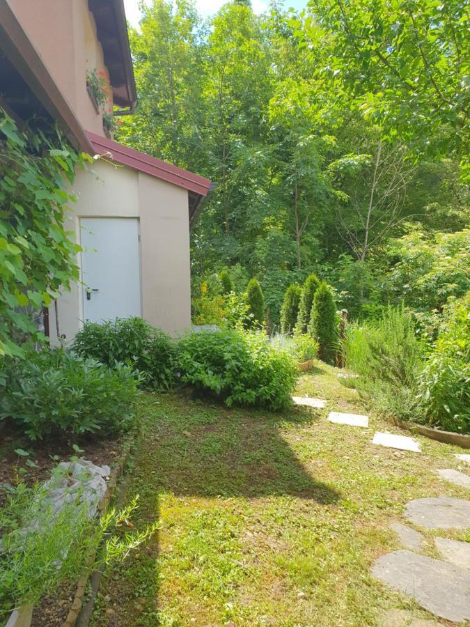 Apartment With Terrace Nona Pavla Tolmin